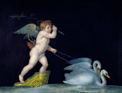 Cupid Being Led by a Pair of Swans by Michelangelo Maestri
